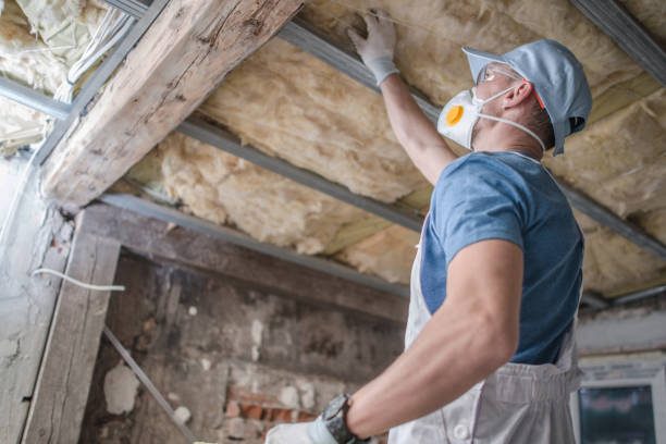 Best Insulation Maintenance and Repair in Emory, TX