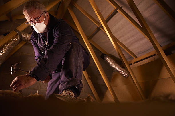 Types of Insulation We Offer in Emory, TX