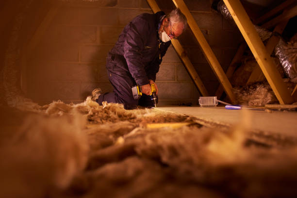Best Blown-in Insulation in Emory, TX